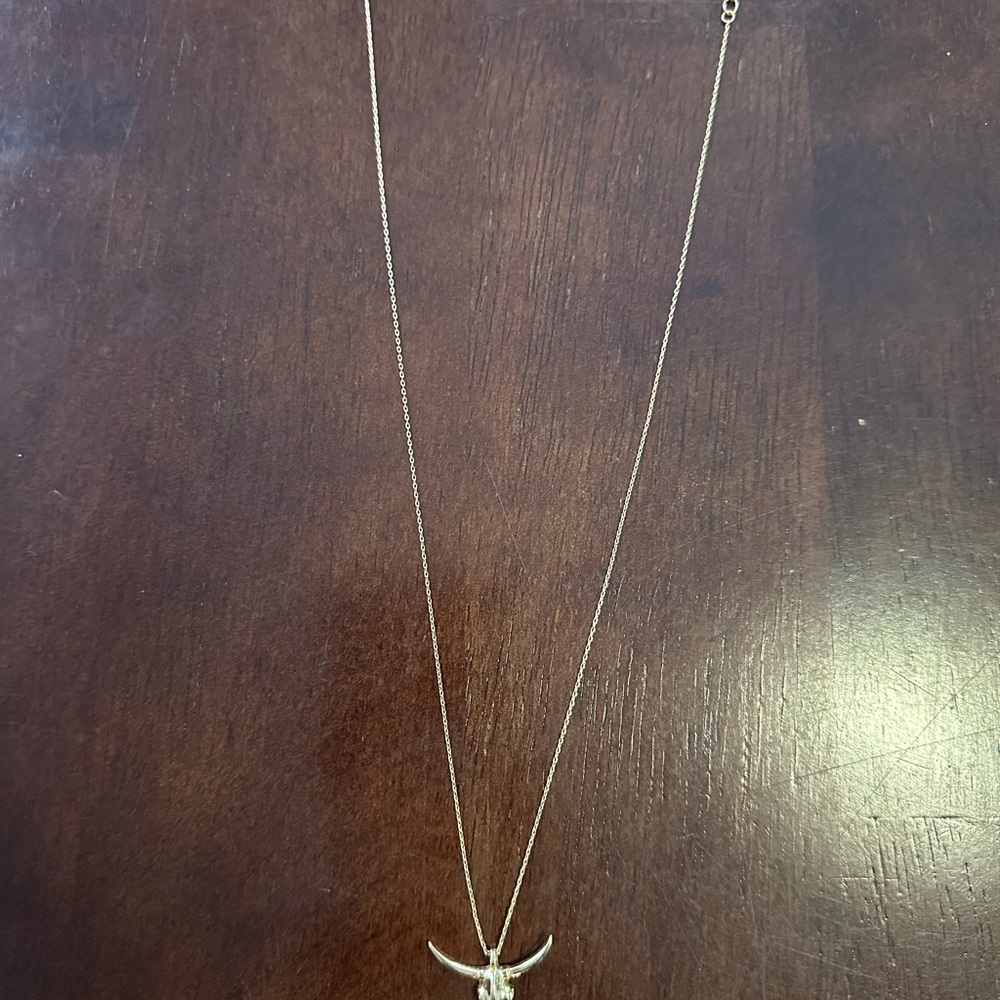 Uncommon James Silver Crescent Necklace